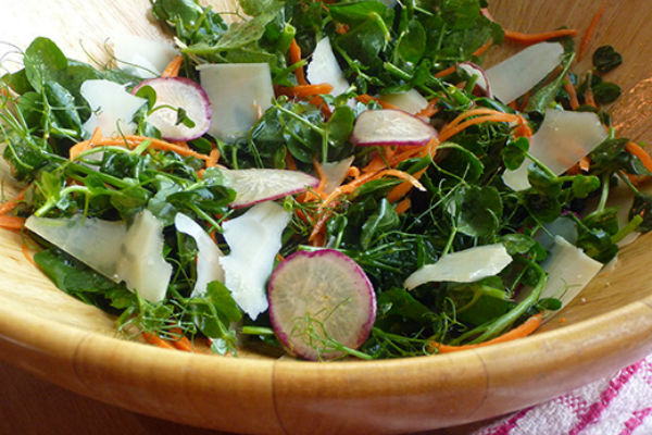 Pea Shoot Salad With Radish And Carrot