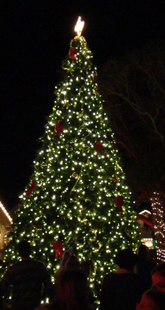 corner-socials-christmas-tree-lighting-celebration